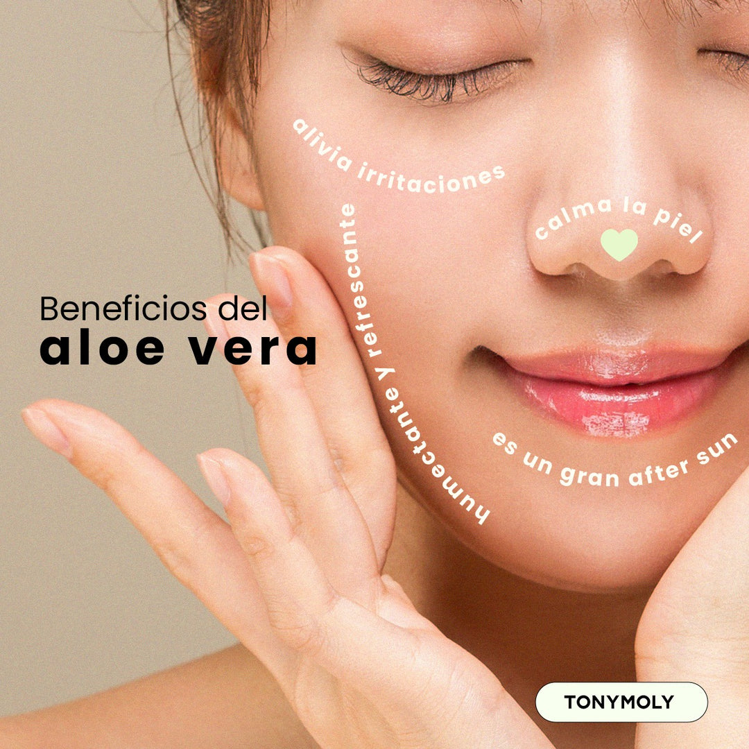 Bruma facial calmante de Aloe vera 93% Chok Chok